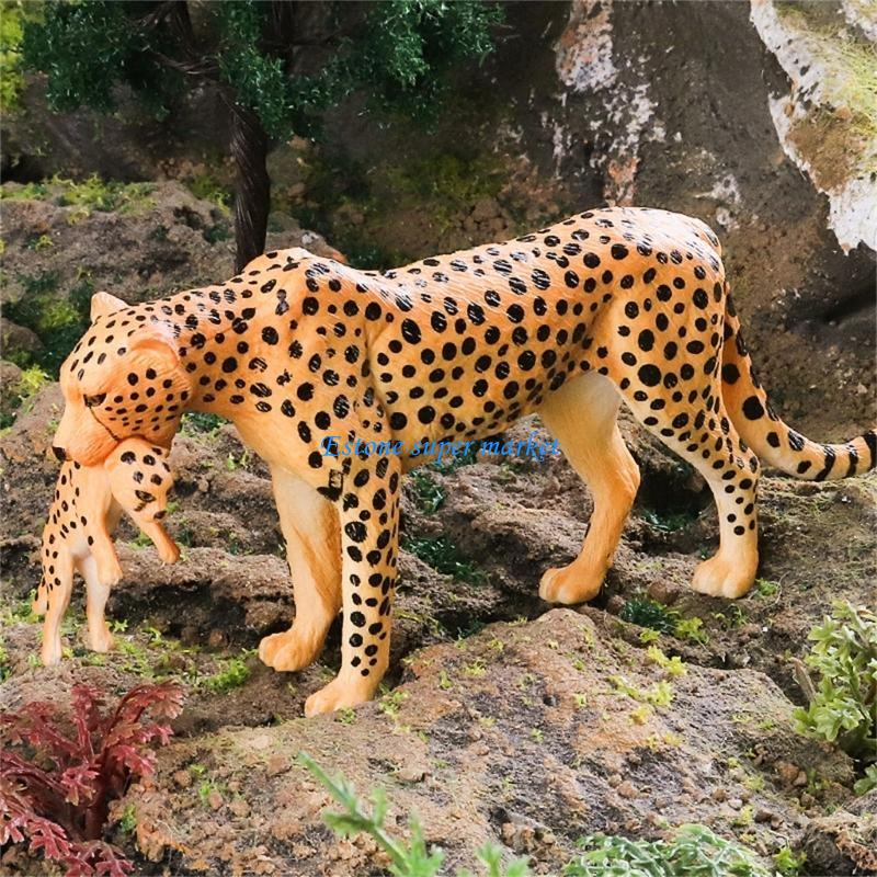 Science Exhibition Models - 090B 詳細なチーター フィギュア 教育用ディスプレイに最適 リアルなミニチュア