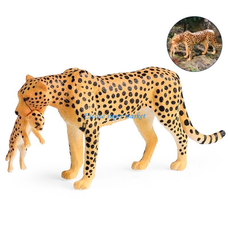 090B 詳細なチーター フィギュア 教育用ディスプレイに最 - Science Exhibition Models のレビューと価格