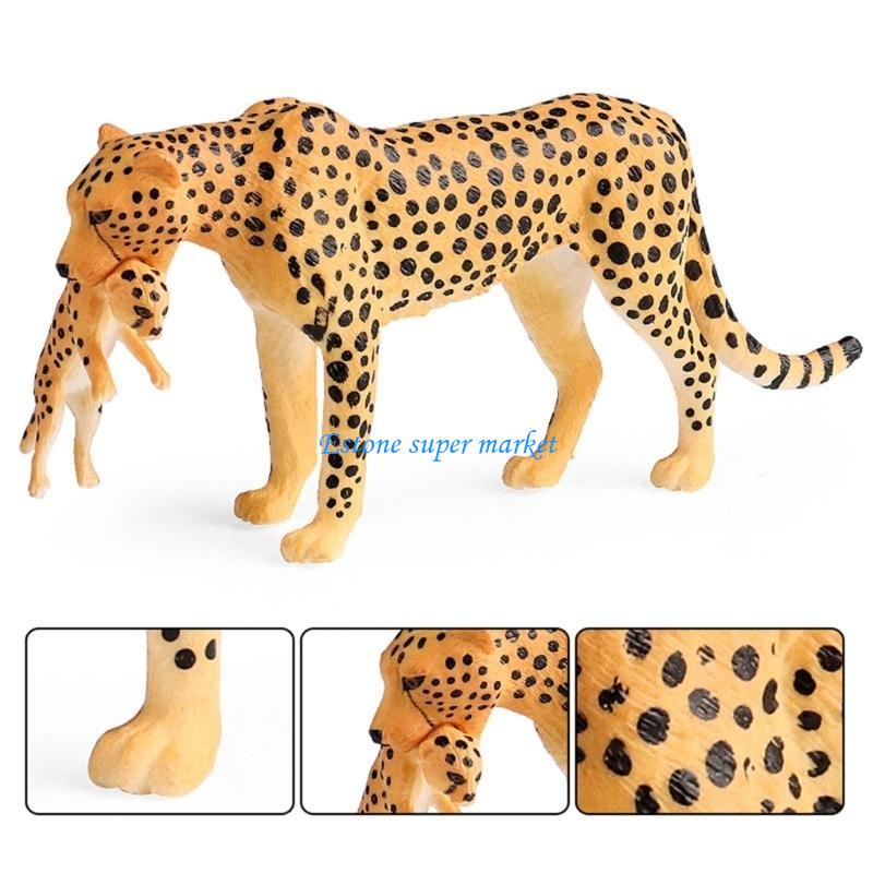 090B 詳細なチーター フィギュア 教育用ディスプレイに最 - Science Exhibition Models のレビューと価格