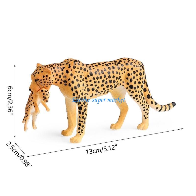090B 詳細なチーター フィギュア 教育用ディスプレイに最 - Science Exhibition Models のレビューと価格